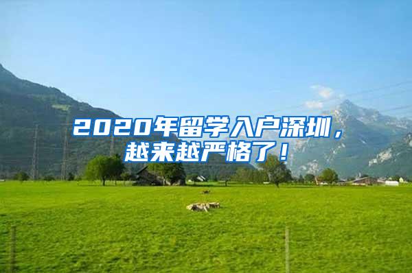 2020年留学入户深圳，越来越严格了！