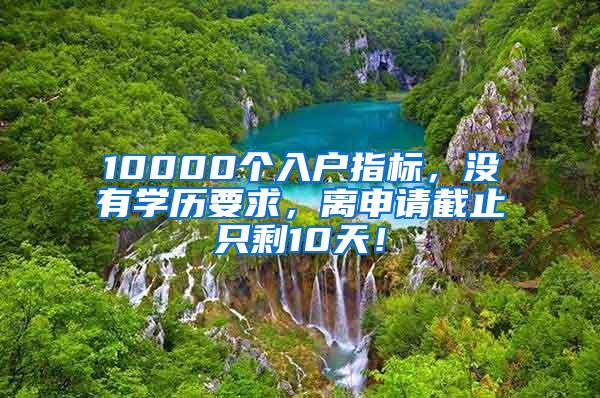 10000个入户指标，没有学历要求，离申请截止只剩10天！