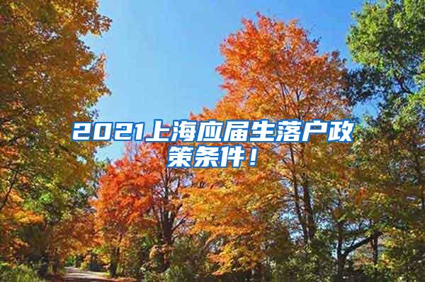 2021上海应届生落户政策条件！