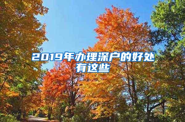 2019年办理深户的好处有这些