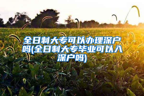 全日制大专可以办理深户吗(全日制大专毕业可以入深户吗)