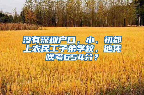 没有深圳户口，小、初都上农民工子弟学校，他凭啥考654分？