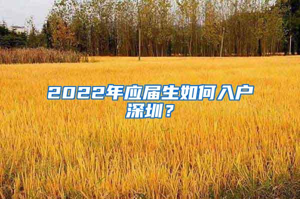 2022年应届生如何入户深圳？