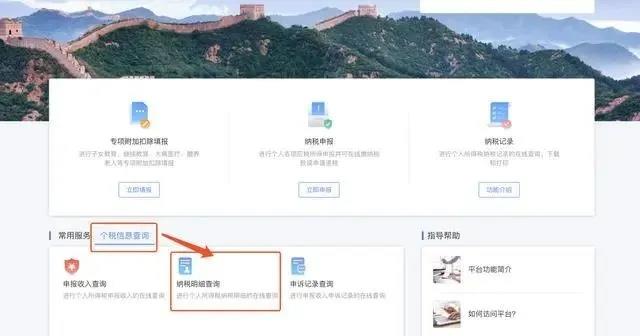 点击个税信息查询