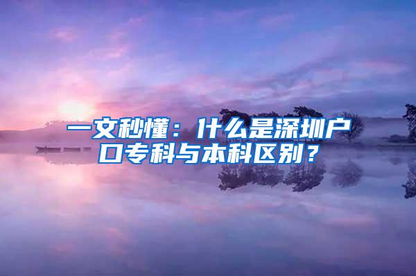 一文秒懂：什么是深圳户口专科与本科区别？