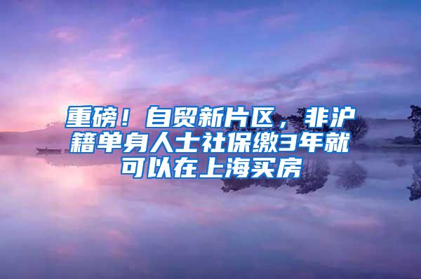 重磅！自贸新片区，非沪籍单身人士社保缴3年就可以在上海买房