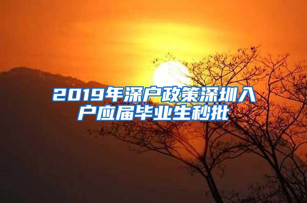 2019年深户政策深圳入户应届毕业生秒批