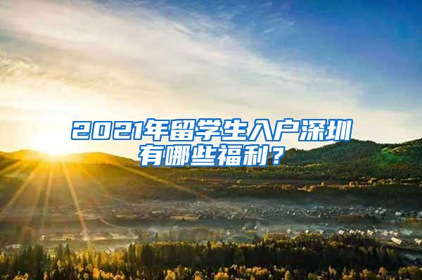 2021年留学生入户深圳有哪些福利？