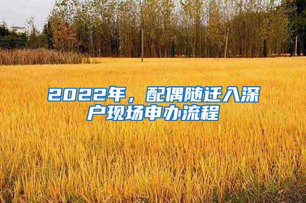 2022年，配偶随迁入深户现场申办流程