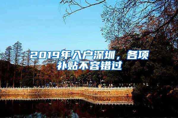 2019年入户深圳，各项补贴不容错过