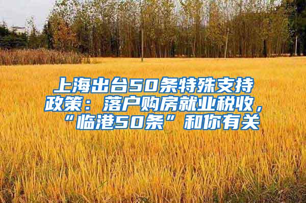 上海出台50条特殊支持政策：落户购房就业税收，“临港50条”和你有关→