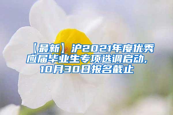 【最新】沪2021年度优秀应届毕业生专项选调启动,10月30日报名截止