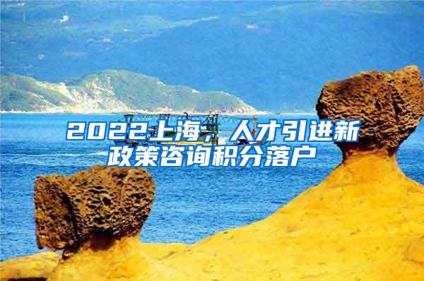 2022上海，人才引进新政策咨询积分落户