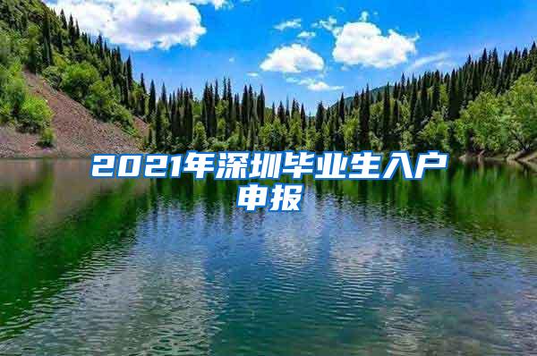 2021年深圳毕业生入户申报