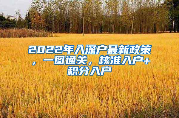 2022年入深户最新政策，一图通关，核准入户+积分入户