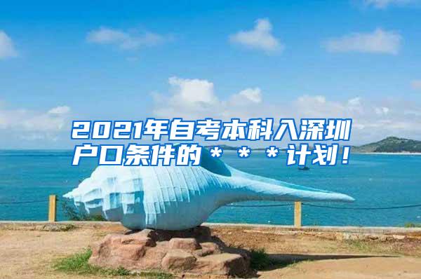 2021年自考本科入深圳户口条件的＊＊＊计划！