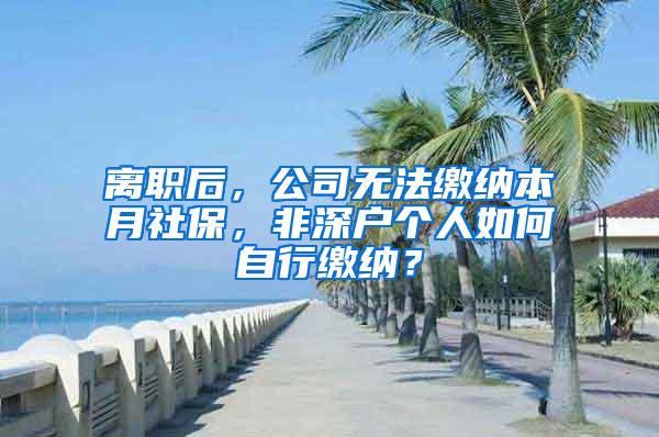 离职后，公司无法缴纳本月社保，非深户个人如何自行缴纳？