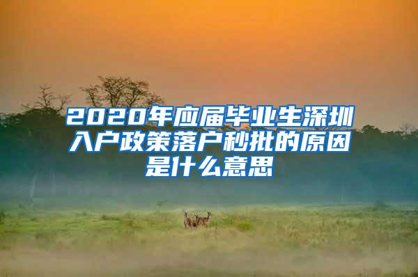 2020年应届毕业生深圳入户政策落户秒批的原因是什么意思