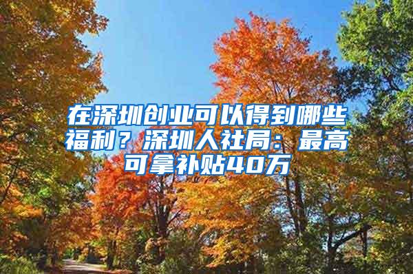 在深圳创业可以得到哪些福利？深圳人社局：最高可拿补贴40万