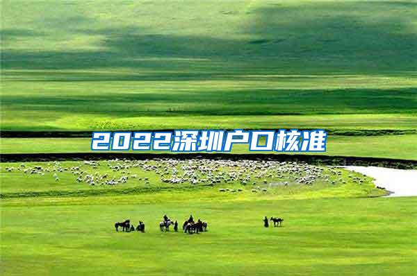 2022深圳户口核准