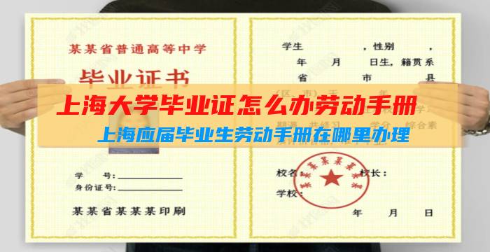 上海大学毕业证怎么办劳动手册（上海应届毕业生劳动手册在哪里办理）插图