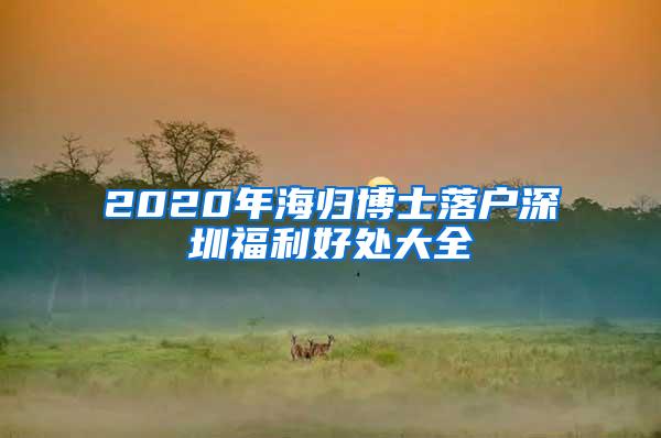 2020年海归博士落户深圳福利好处大全