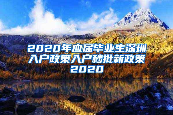 2020年应届毕业生深圳入户政策入户秒批新政策2020