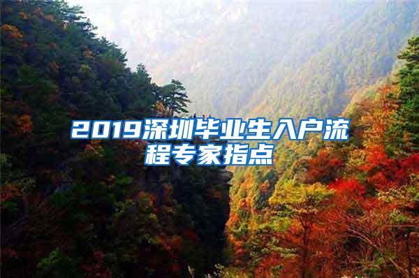 2019深圳毕业生入户流程专家指点