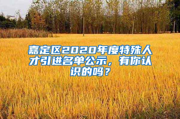 嘉定区2020年度特殊人才引进名单公示，有你认识的吗？