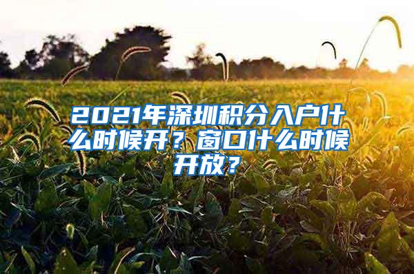 2021年深圳积分入户什么时候开？窗口什么时候开放？