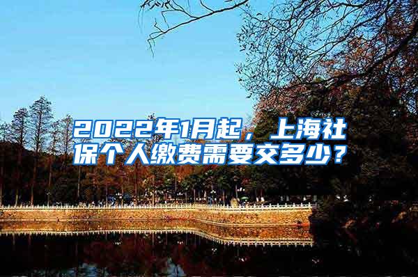 2022年1月起，上海社保个人缴费需要交多少？