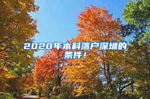 2020年本科落户深圳的条件！