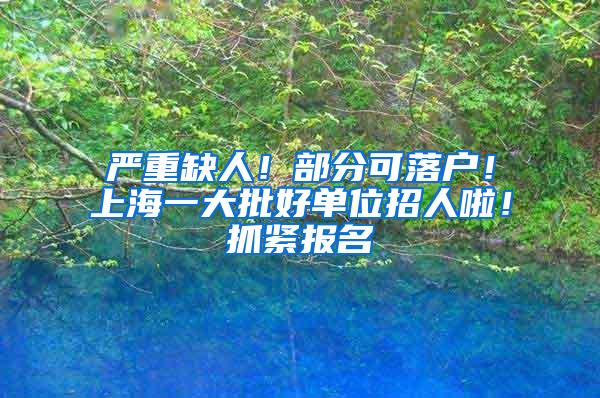 严重缺人！部分可落户！上海一大批好单位招人啦！抓紧报名