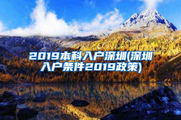 2019本科入户深圳(深圳入户条件2019政策)