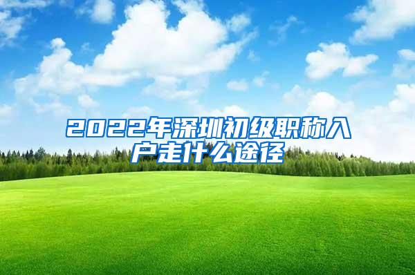 2022年深圳初级职称入户走什么途径