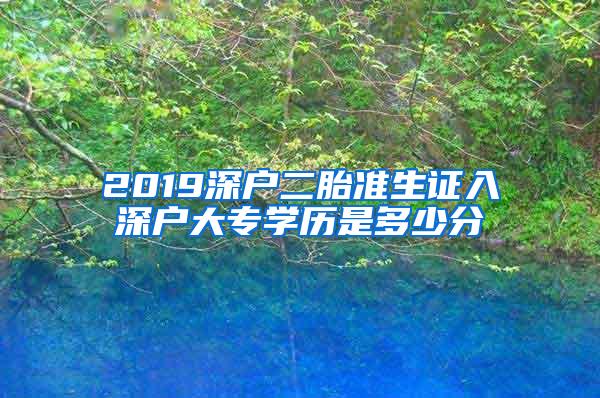 2019深户二胎准生证入深户大专学历是多少分