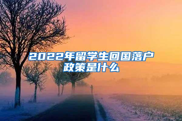 2022年留学生回国落户政策是什么