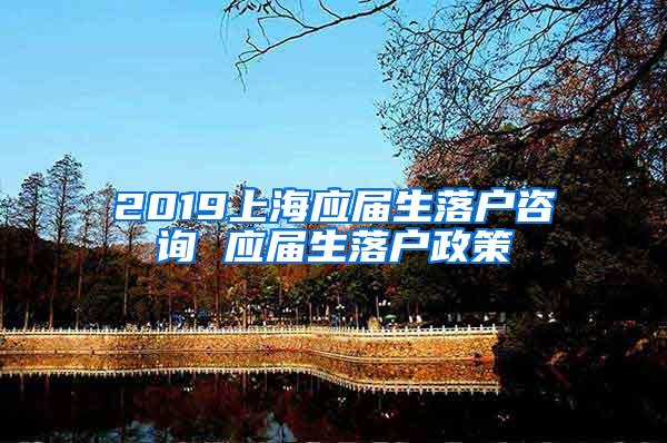 2019上海应届生落户咨询 应届生落户政策