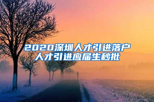 2020深圳人才引进落户人才引进应届生秒批