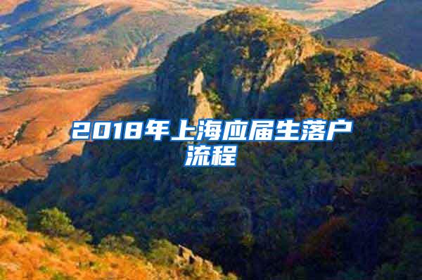 2018年上海应届生落户流程