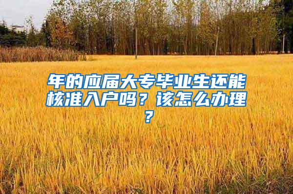 年的应届大专毕业生还能核准入户吗？该怎么办理？