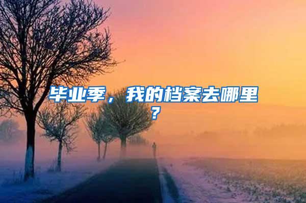 毕业季，我的档案去哪里？