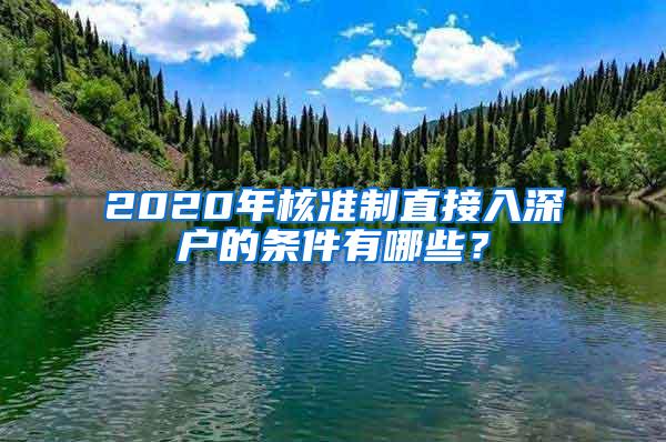 2020年核准制直接入深户的条件有哪些？