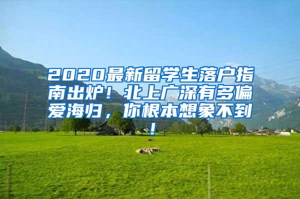 2020最新留学生落户指南出炉！北上广深有多偏爱海归，你根本想象不到！