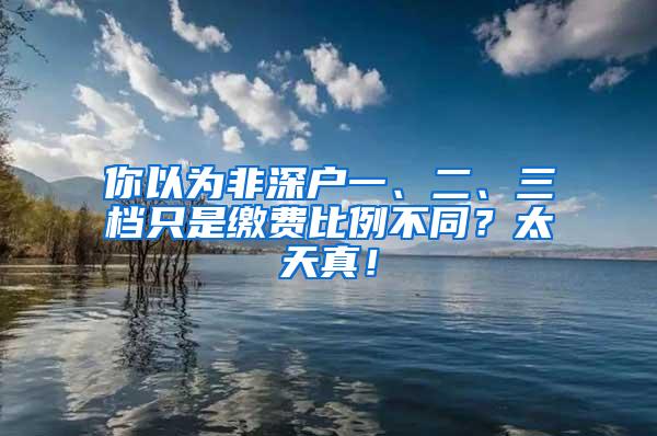 你以为非深户一、二、三档只是缴费比例不同？太天真！