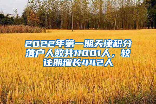 2022年第一期天津积分落户人数共11001人，较往期增长442人