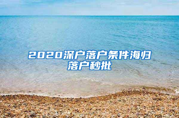 2020深户落户条件海归落户秒批