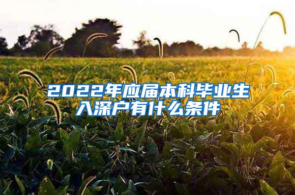 2022年应届本科毕业生入深户有什么条件