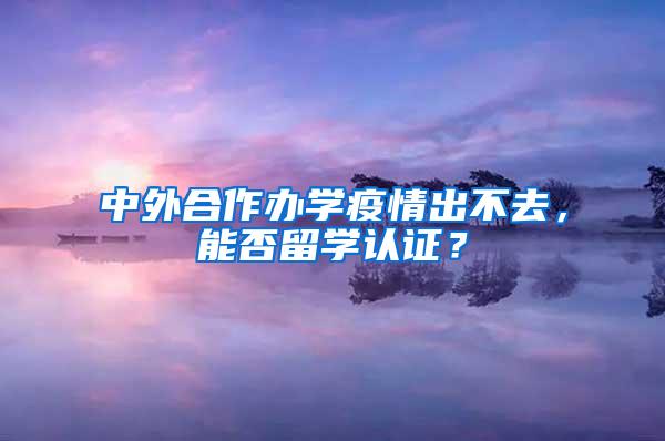 中外合作办学疫情出不去，能否留学认证？