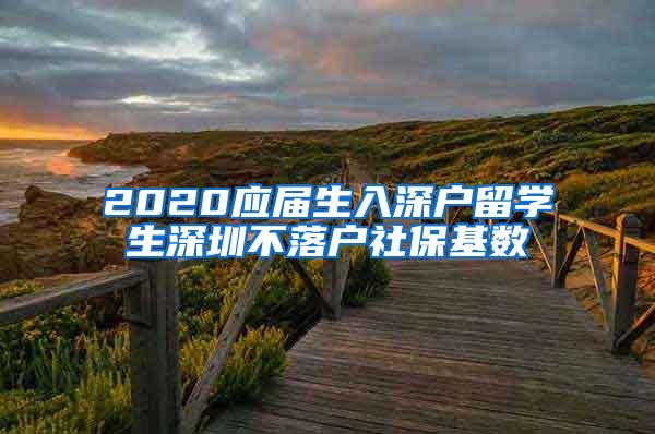 2020应届生入深户留学生深圳不落户社保基数